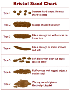 bristol chart